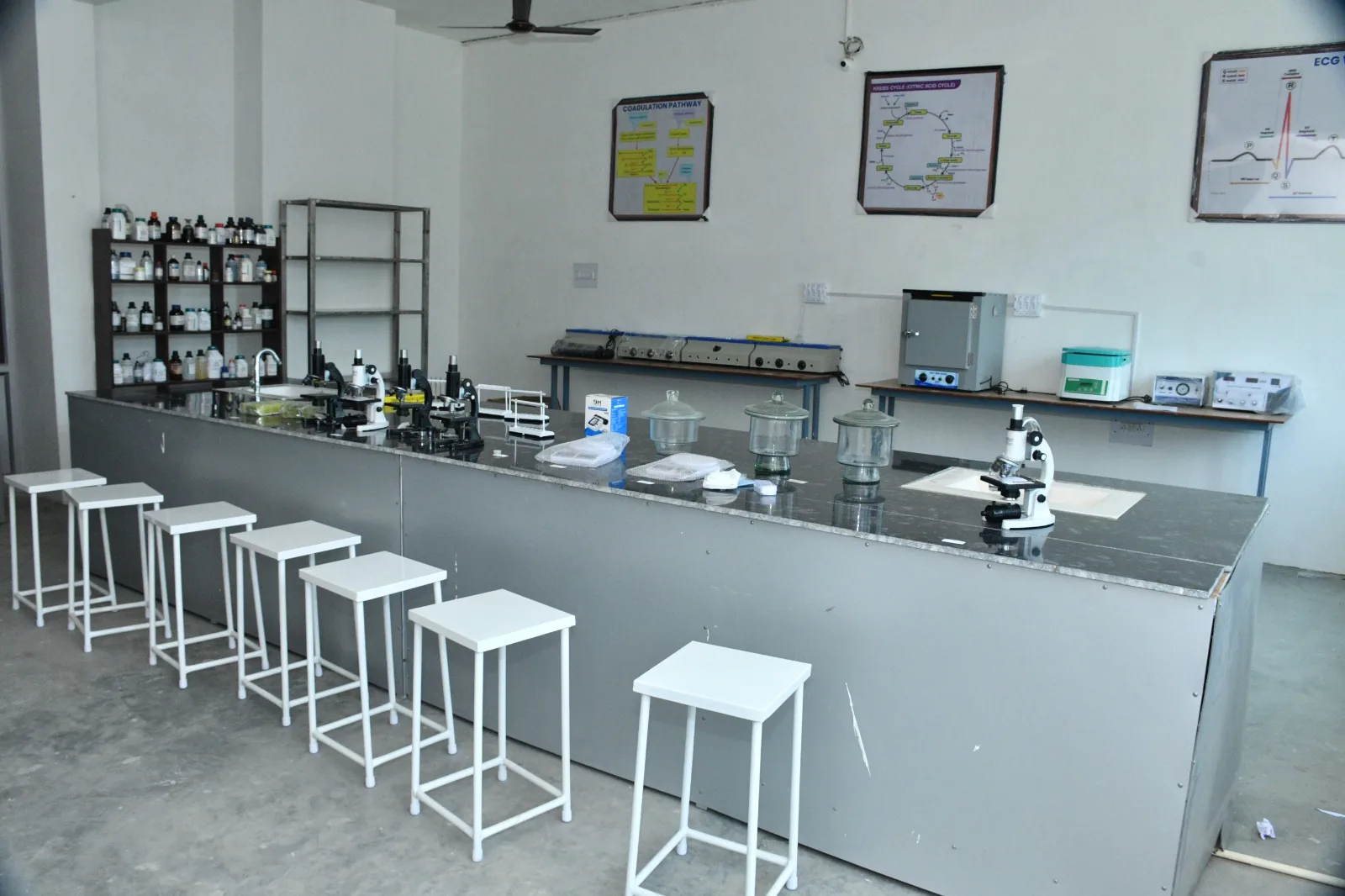 Clinical Lab