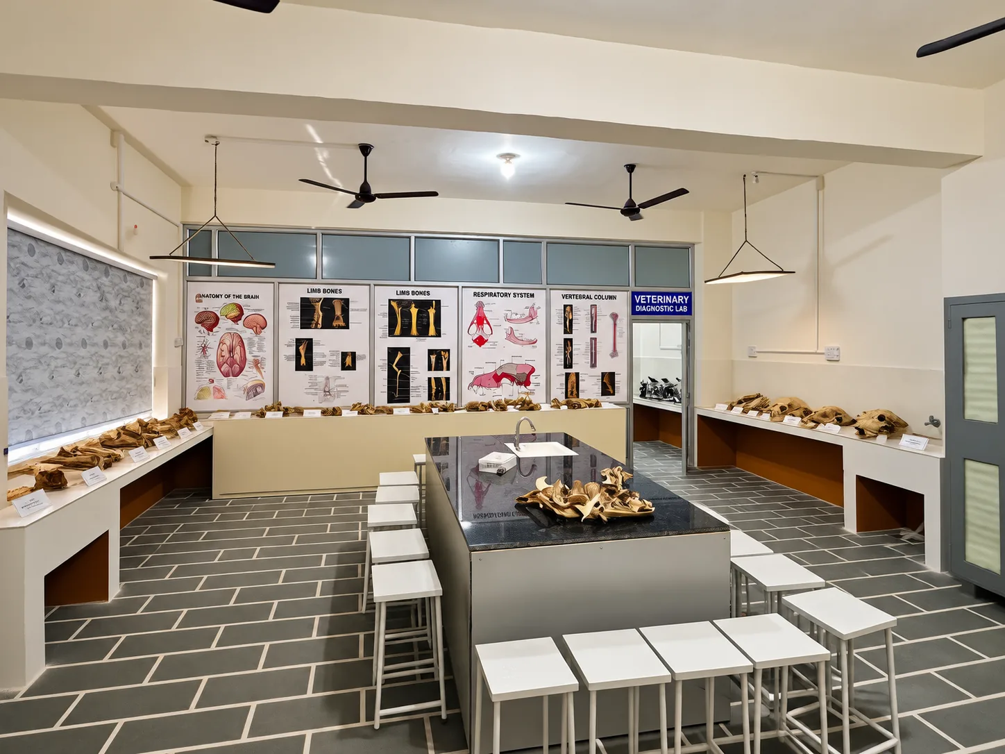 Veterinary anatomy laboratory