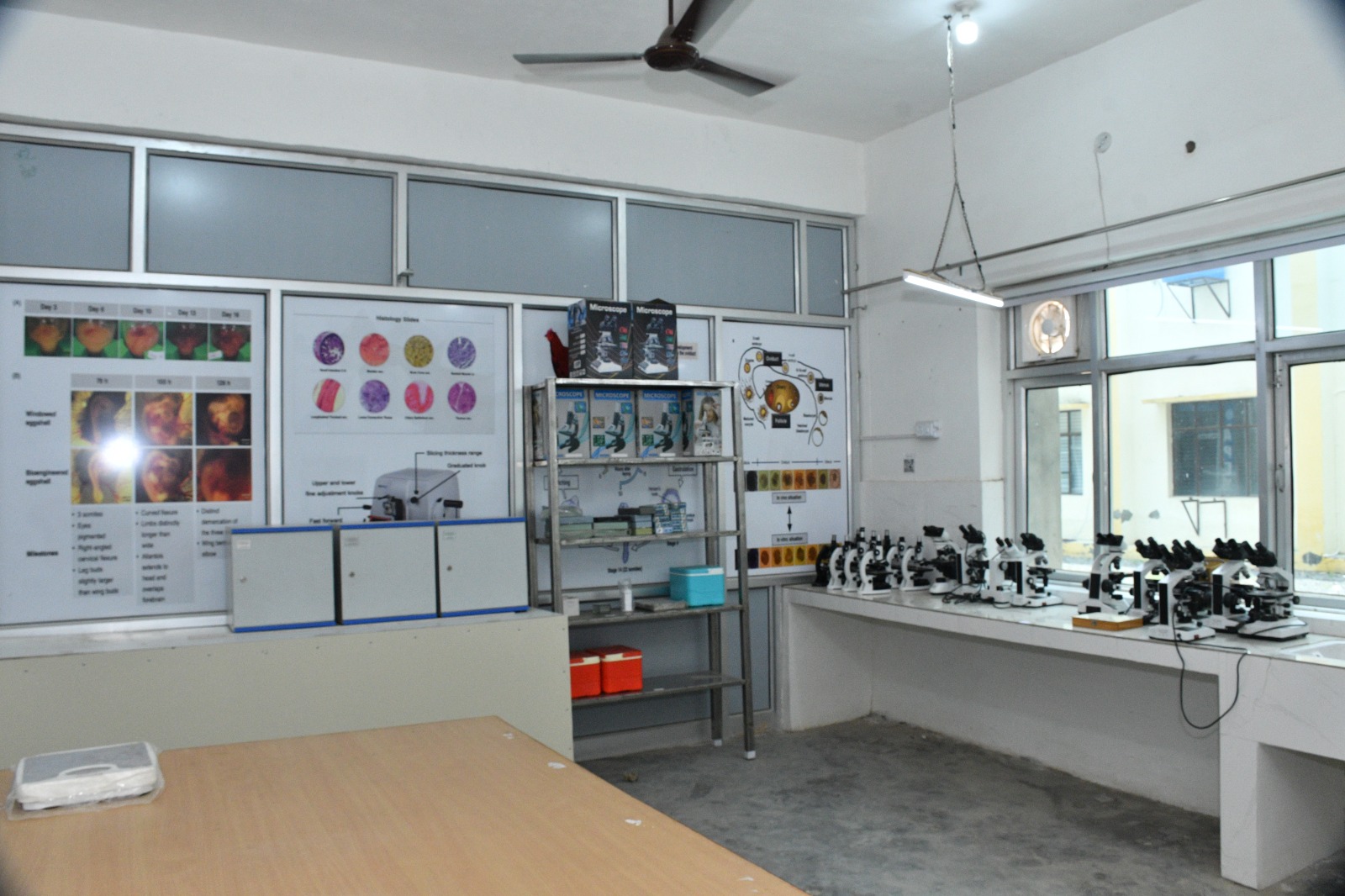 APEX campus photo 1