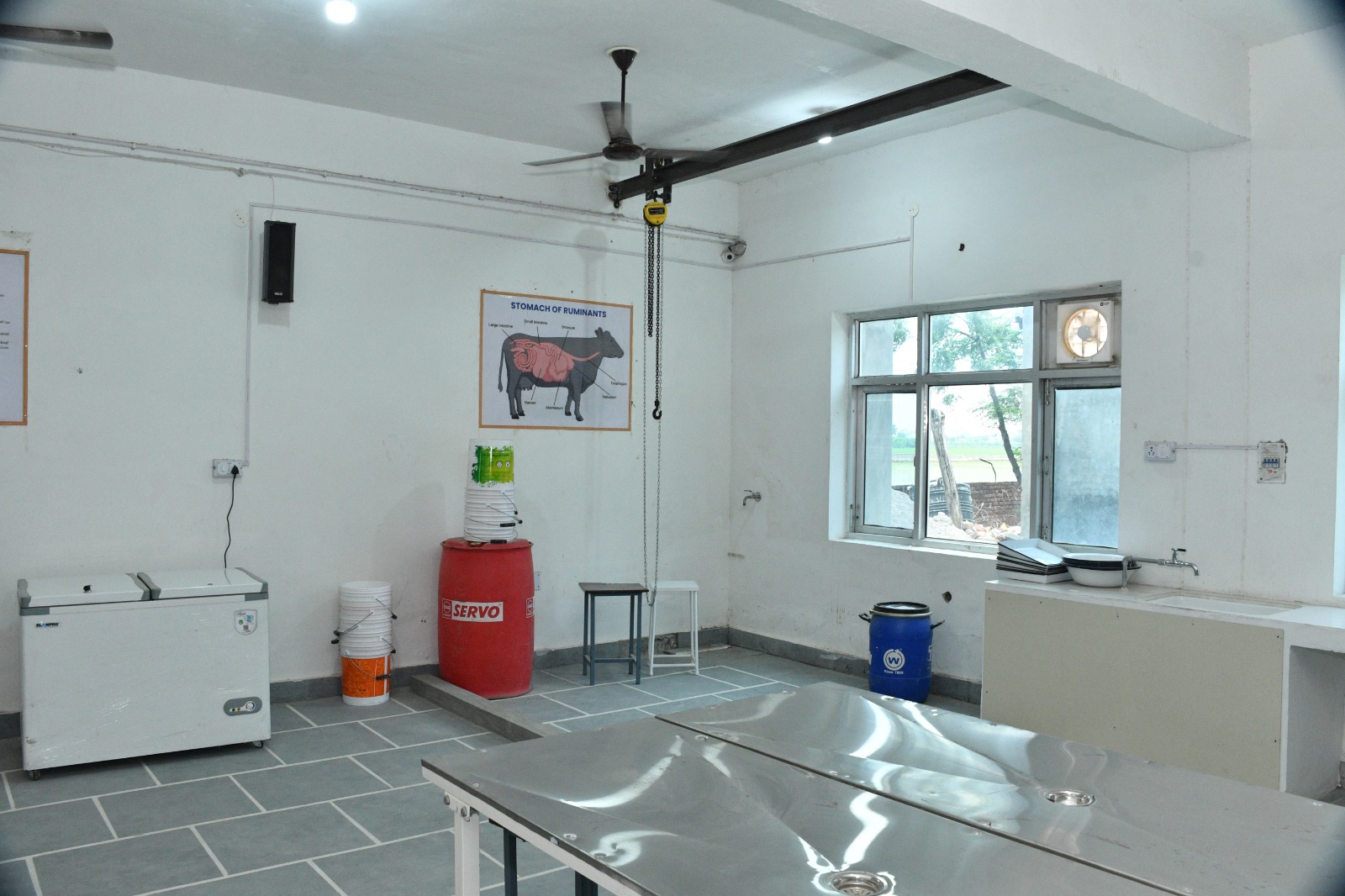 APEX campus photo 2