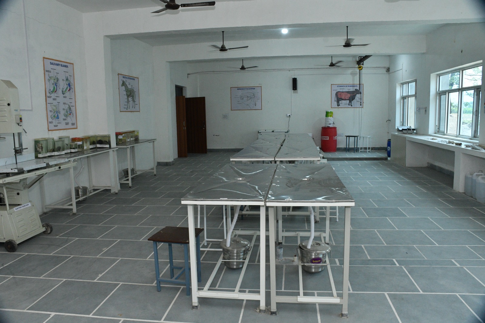 APEX campus photo 4
