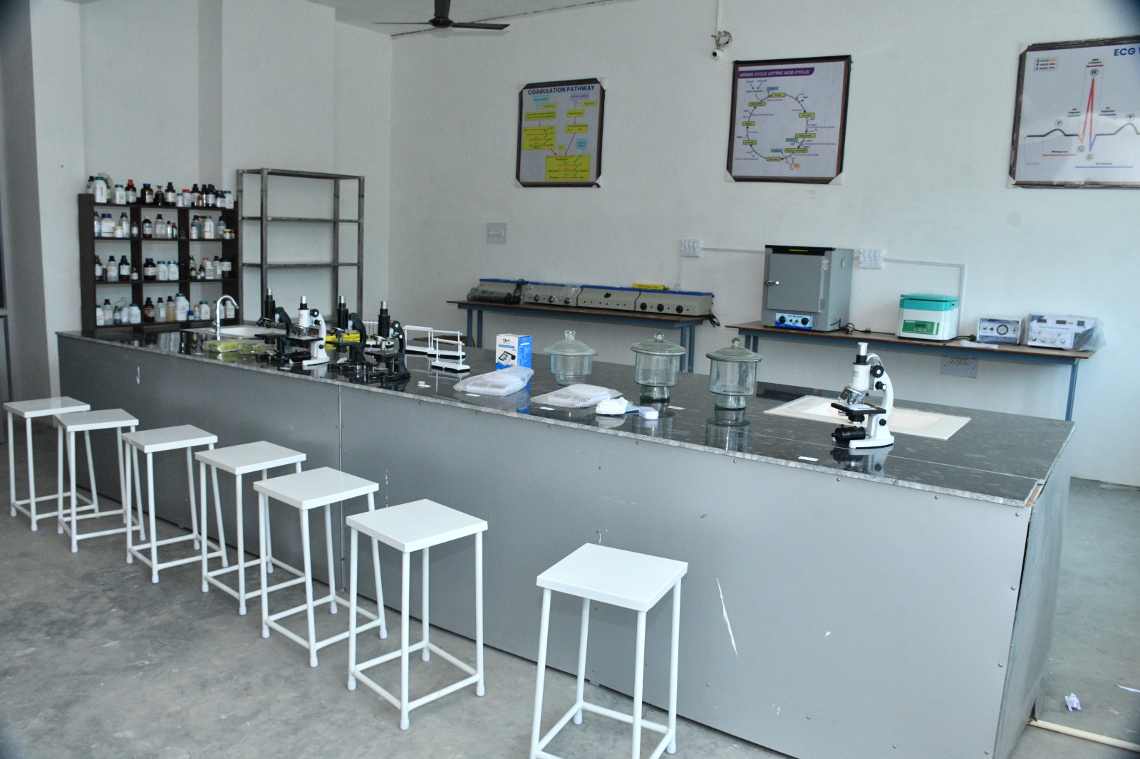 Clinical Lab