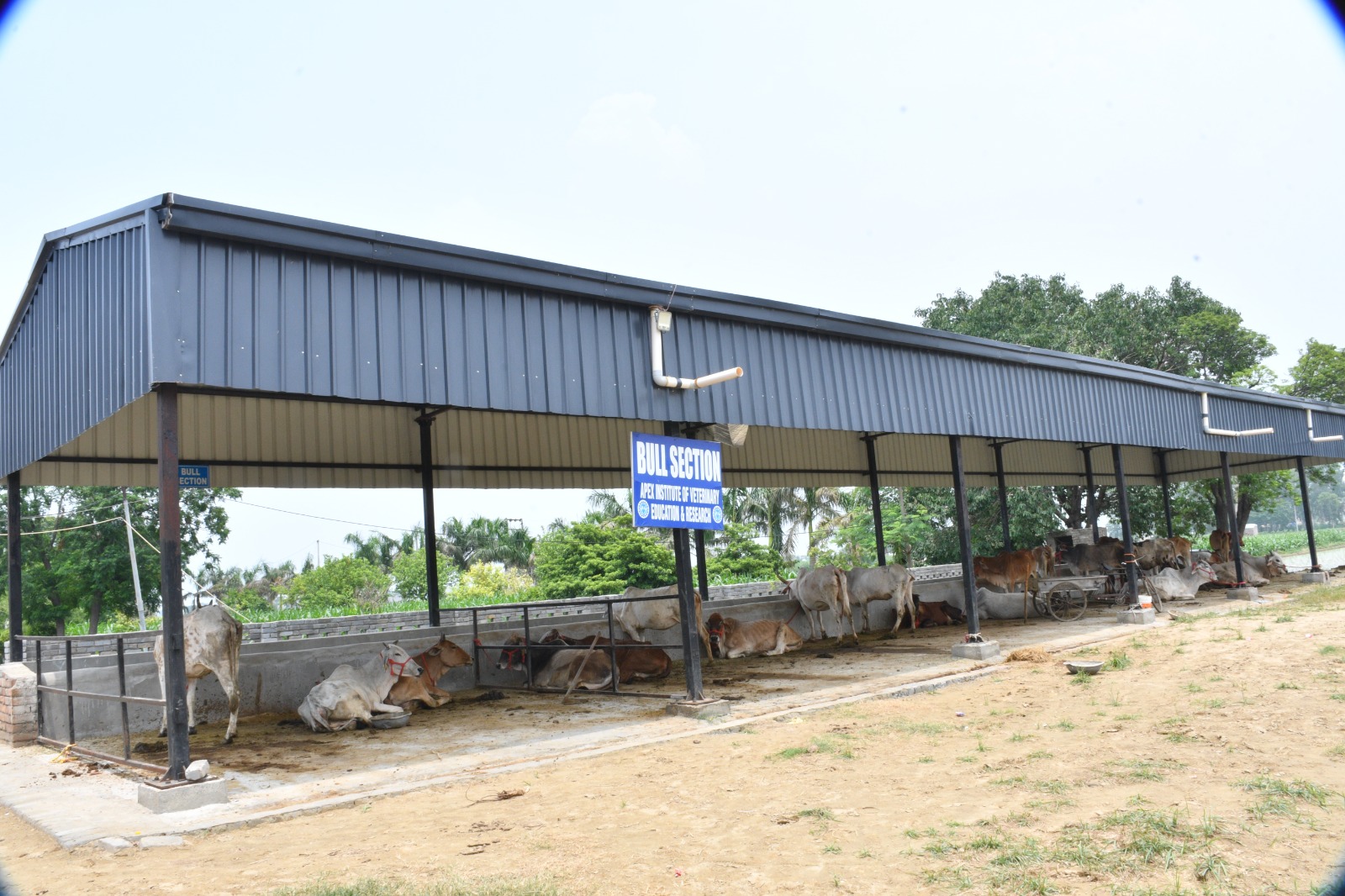 APEX campus photo 9