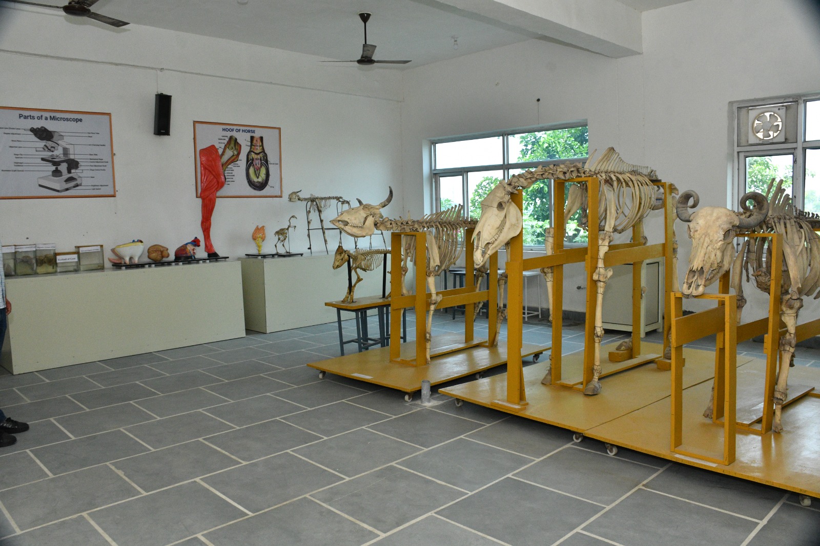 APEX campus photo 10