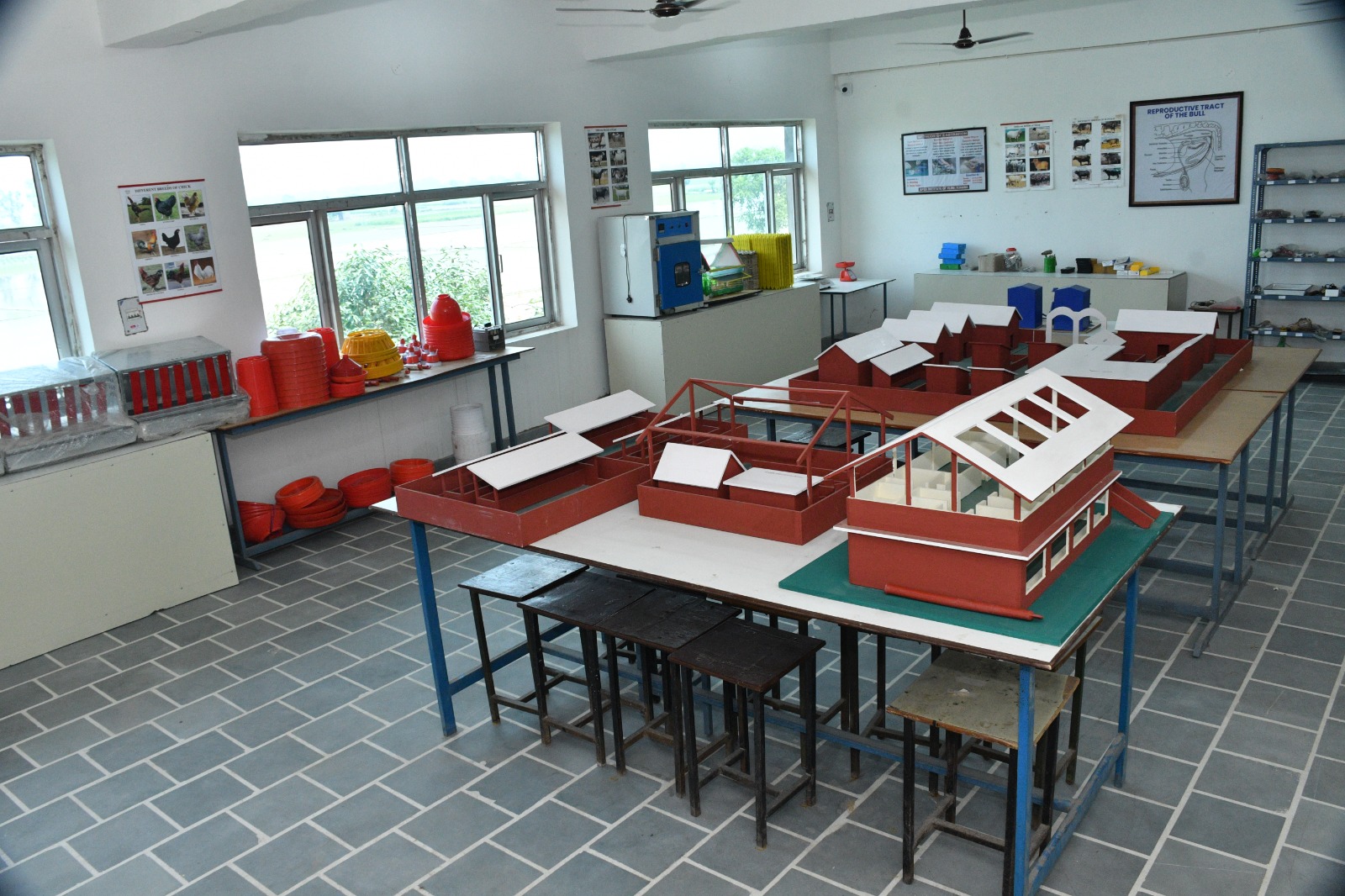 APEX campus photo 11