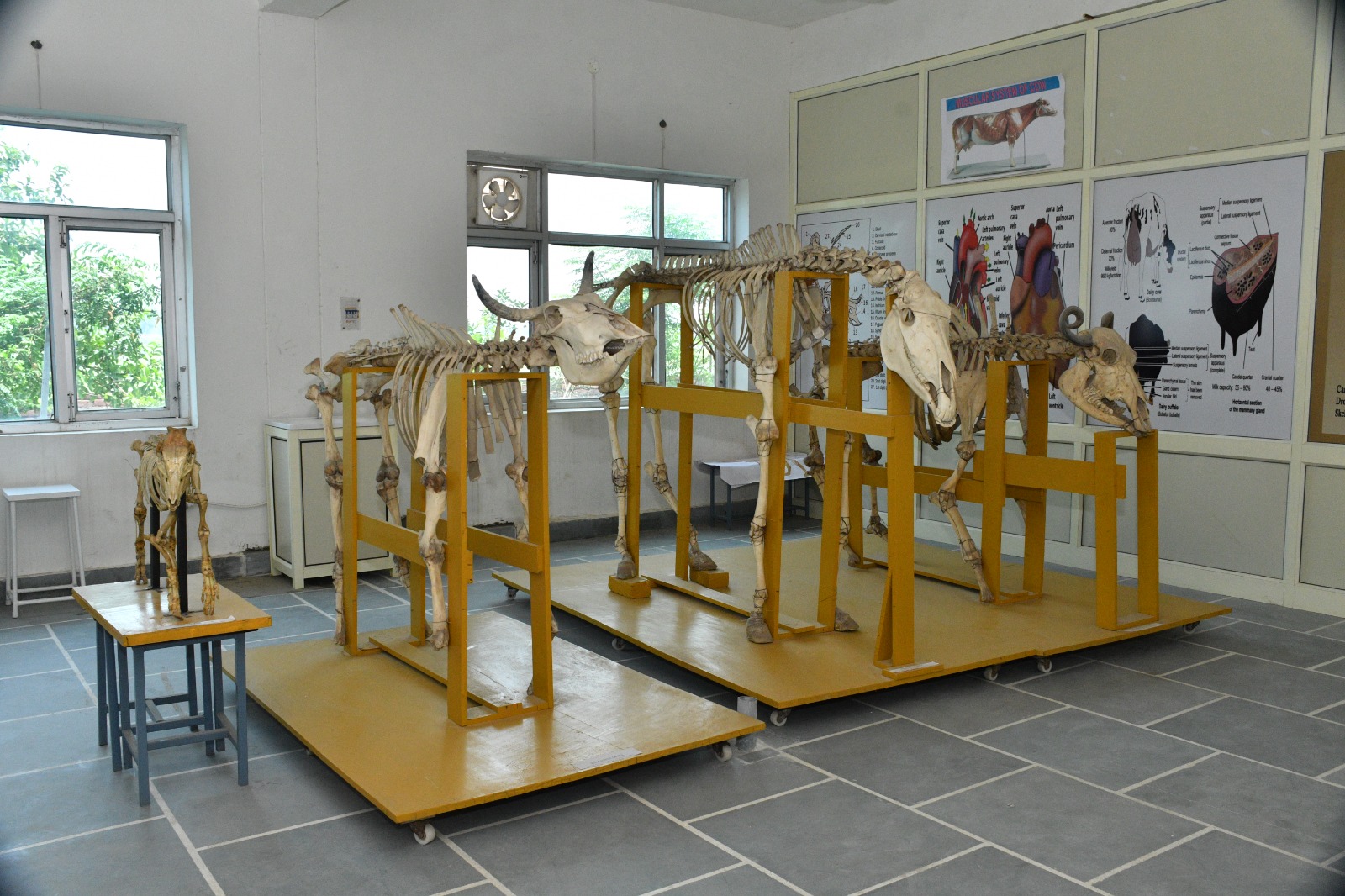 APEX campus photo 15